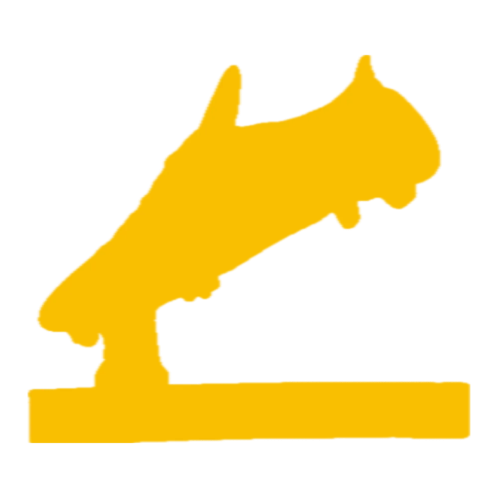 Trofeo SCARPA D'ORO
